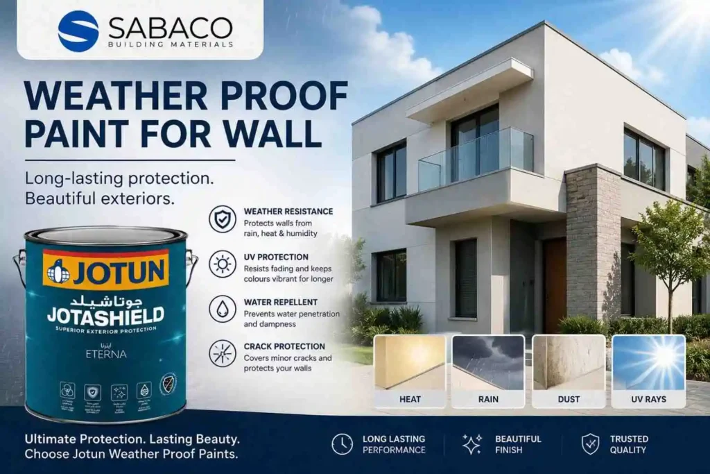 Weather proof paint for wall